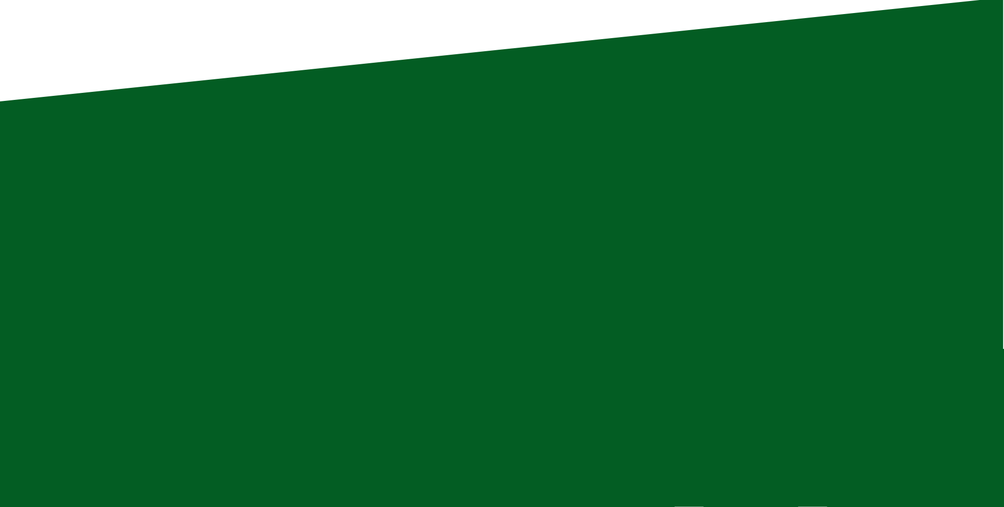NextCoreDigital